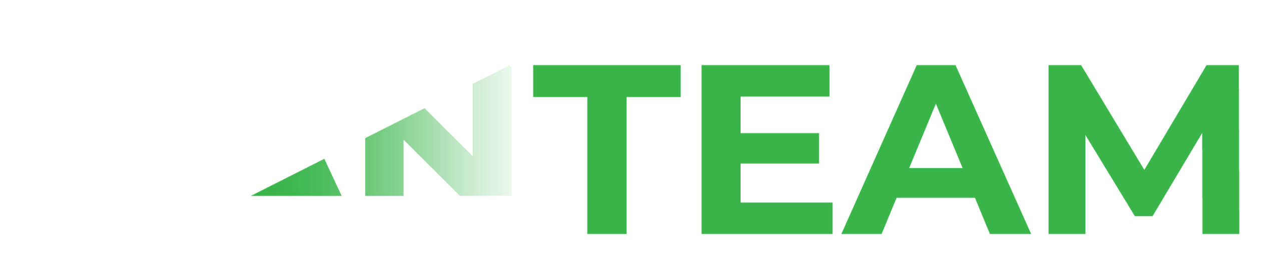 NAN Team logo